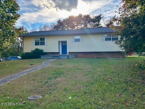 Photo of 233 Harvey Drive, Russellville, TN 37860 (MLS # 1321329)