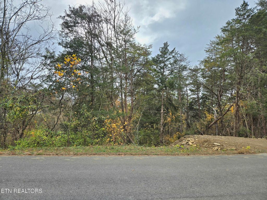 Photo of 17 Scott St, Sevierville, TN 37876 (MLS # 1321384)