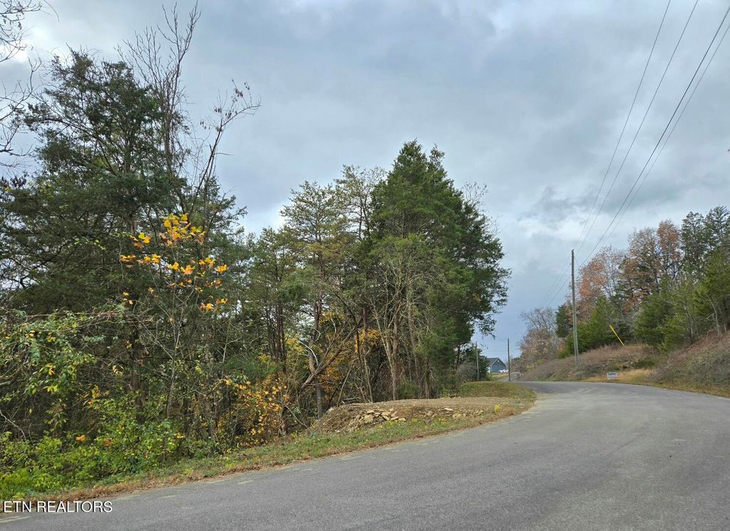 Photo of 17 Scott St, Sevierville, TN 37876 (MLS # 1321384)