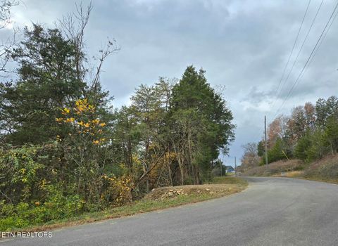 Photo of 17 Scott St, Sevierville, TN 37876 (MLS # 1321384)