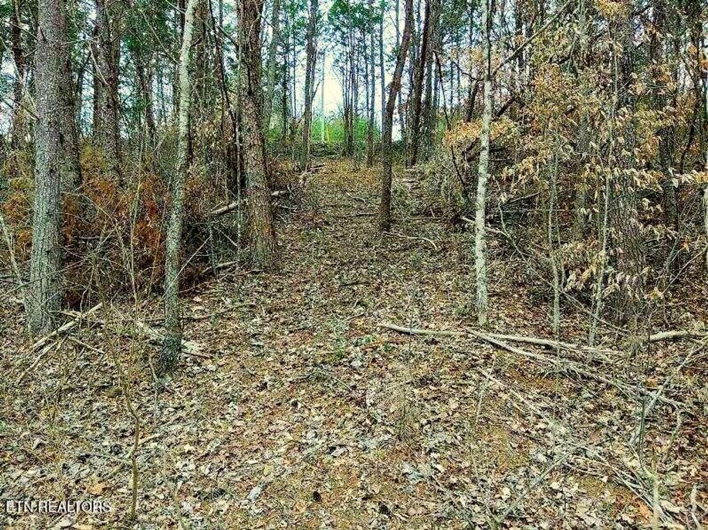 Photo of 17 Scott St, Sevierville, TN 37876 (MLS # 1321384)