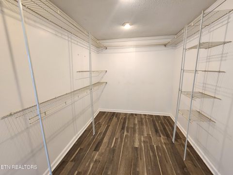 Tiny photo for 434 Murray Rd, Knoxville, TN 37912 (MLS # 1334799)