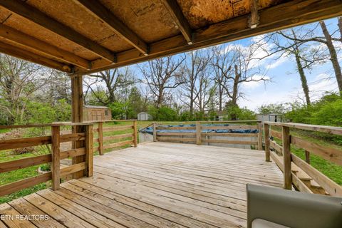 Tiny photo for 434 Murray Rd, Knoxville, TN 37912 (MLS # 1334799)