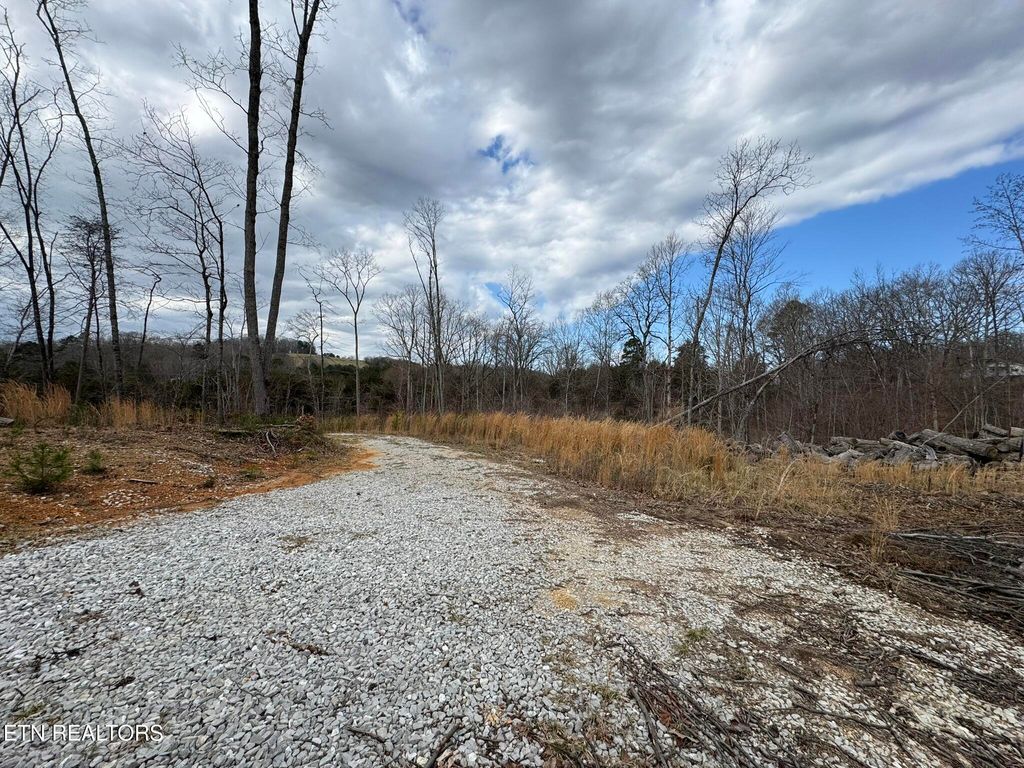 Photo of McCubbins Rd, Strawberry Plains, TN 37871 (MLS # 1292444)