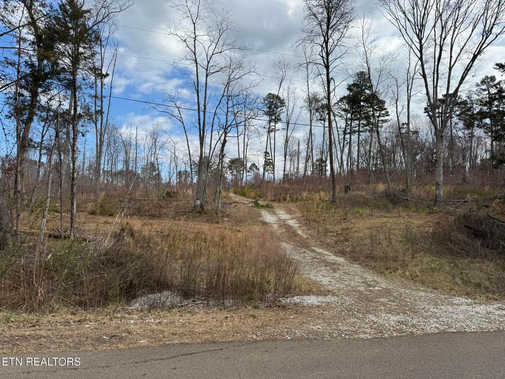Photo of McCubbins Rd, Strawberry Plains, TN 37871 (MLS # 1292444)