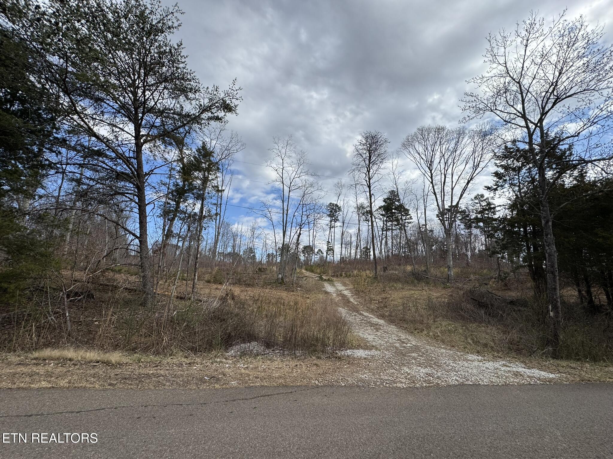 McCubbins Rd