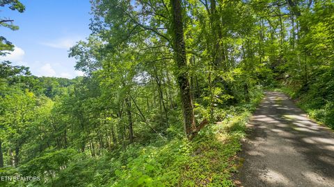 Tiny photo for 6 Ski Mtn Rd, Gatlinburg, TN 37738 (MLS # 1309416)