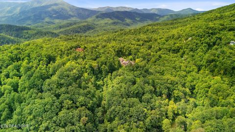 Tiny photo for 6 Ski Mtn Rd, Gatlinburg, TN 37738 (MLS # 1309416)