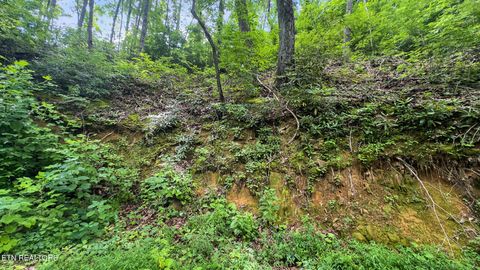 Tiny photo for 6 Ski Mtn Rd, Gatlinburg, TN 37738 (MLS # 1309416)