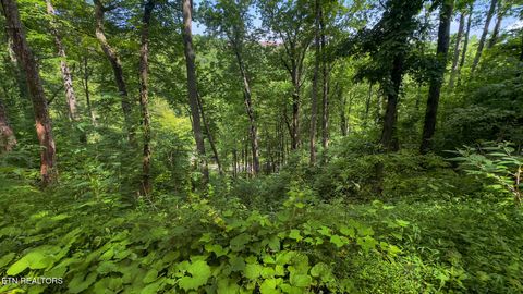 Tiny photo for 6 Ski Mtn Rd, Gatlinburg, TN 37738 (MLS # 1309416)