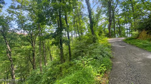 Tiny photo for 6 Ski Mtn Rd, Gatlinburg, TN 37738 (MLS # 1309416)