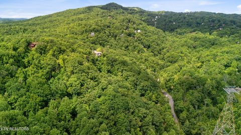 Tiny photo for 6 Ski Mtn Rd, Gatlinburg, TN 37738 (MLS # 1309416)