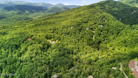 Tiny photo for 6 Ski Mtn Rd, Gatlinburg, TN 37738 (MLS # 1309416)
