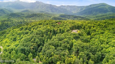 Tiny photo for 6 Ski Mtn Rd, Gatlinburg, TN 37738 (MLS # 1309416)