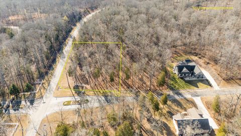 Tiny photo for 380 Walking Horse Tr, Rockwood, TN 37854 (MLS # 1328931)