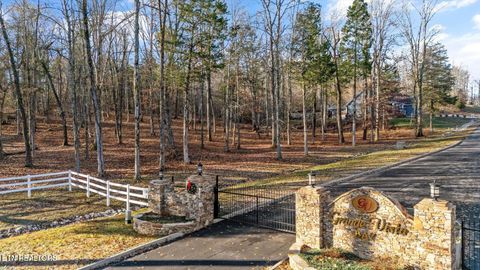 Tiny photo for 380 Walking Horse Tr, Rockwood, TN 37854 (MLS # 1328931)