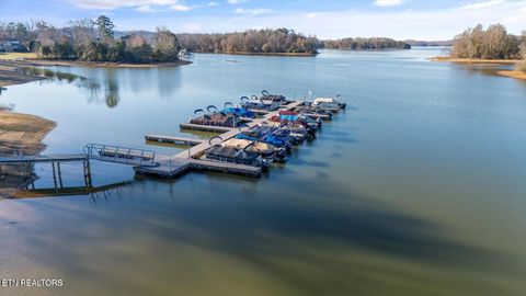 Tiny photo for 380 Walking Horse Tr, Rockwood, TN 37854 (MLS # 1328931)