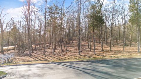 Tiny photo for 380 Walking Horse Tr, Rockwood, TN 37854 (MLS # 1328931)