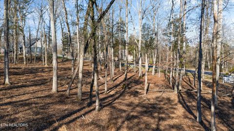 Tiny photo for 380 Walking Horse Tr, Rockwood, TN 37854 (MLS # 1328931)