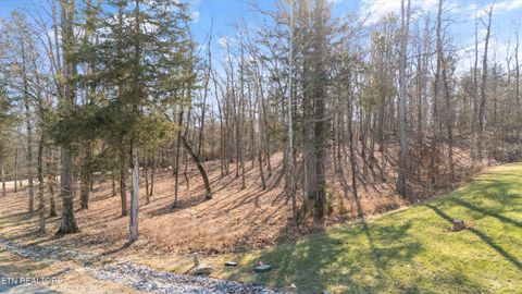 Tiny photo for 380 Walking Horse Tr, Rockwood, TN 37854 (MLS # 1328931)