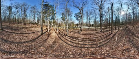 Tiny photo for 380 Walking Horse Tr, Rockwood, TN 37854 (MLS # 1328931)