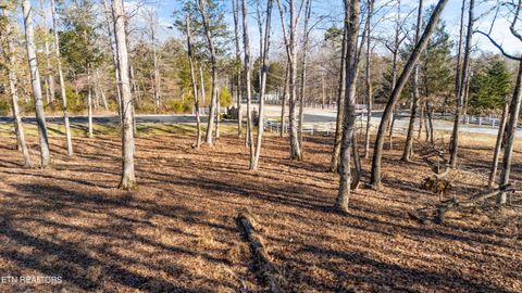 Tiny photo for 380 Walking Horse Tr, Rockwood, TN 37854 (MLS # 1328931)