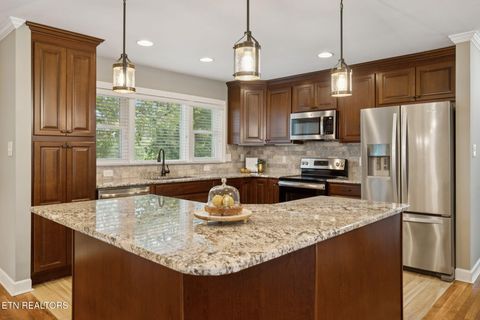Tiny photo for 3847 Wilani Rd, Knoxville, TN 37919 (MLS # 1316640)