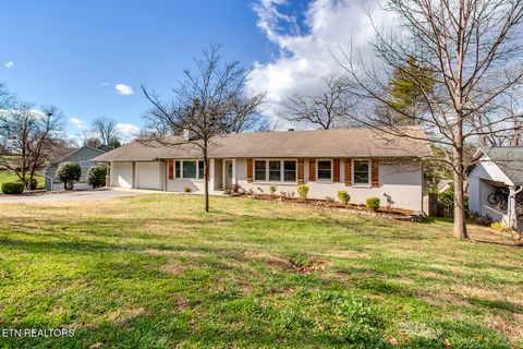 Photo of 3847 Wilani Rd, Knoxville, TN 37919 (MLS # 1316640)