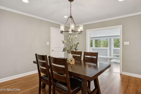 Tiny photo for 3847 Wilani Rd, Knoxville, TN 37919 (MLS # 1316640)