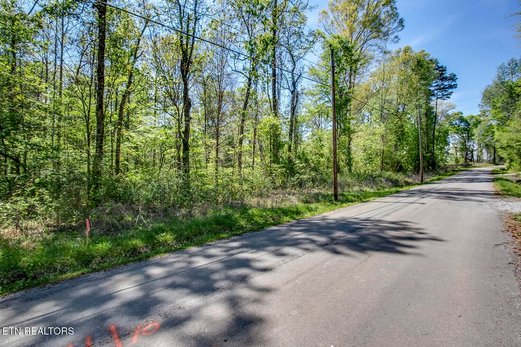 Photo of 485 Oak Grove Rd, Decatur, TN 37322 (MLS # 1335511)