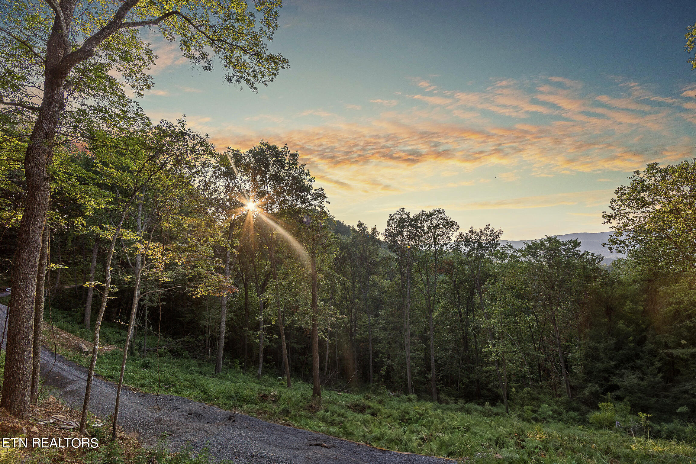 Overholt Trail Tr