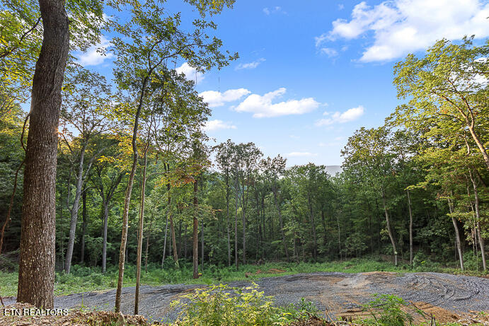 Overholt Trail Tr