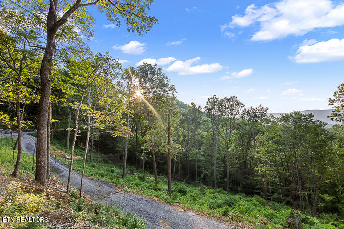 Overholt Trail Tr