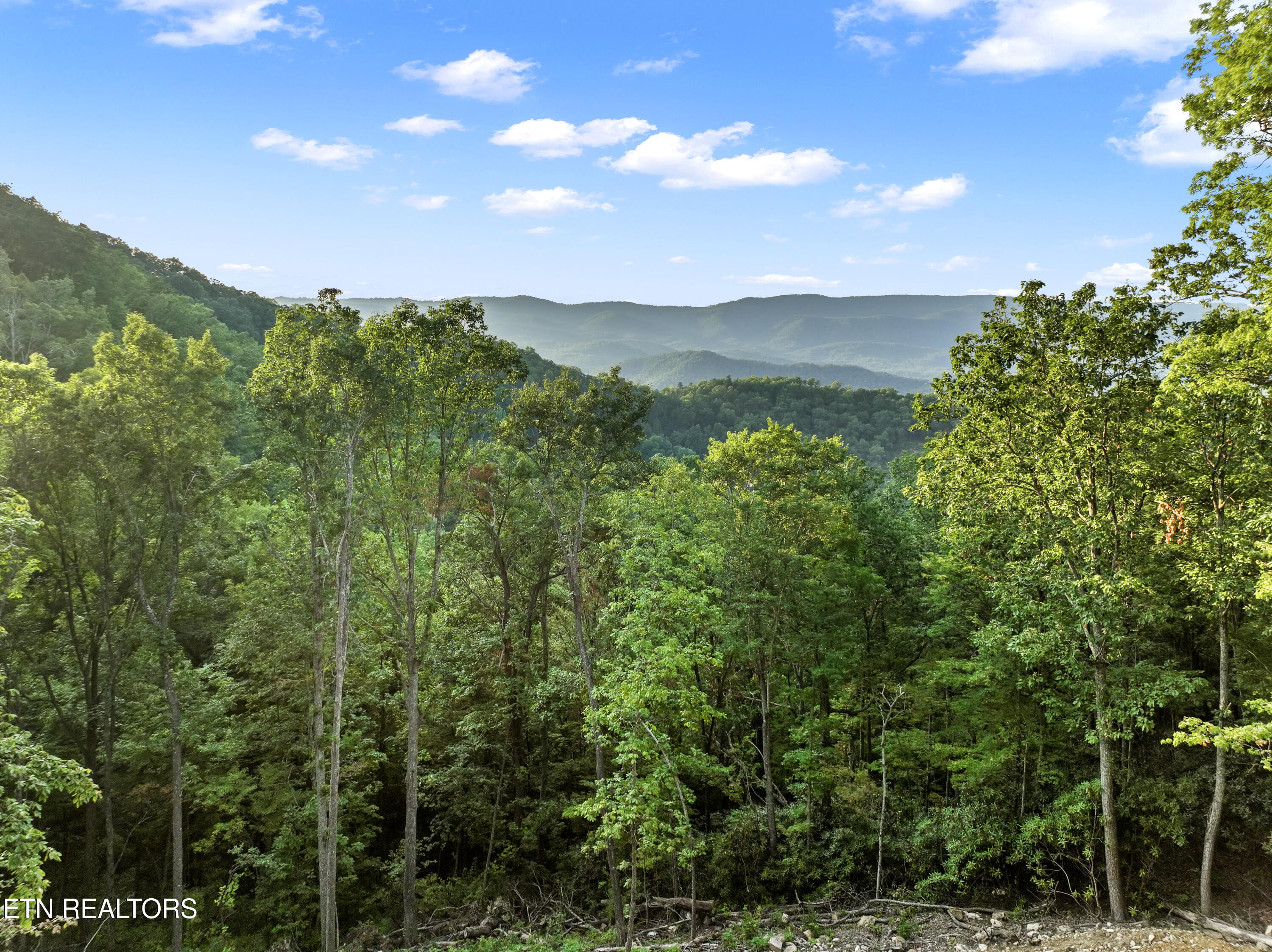 Overholt Trail Tr