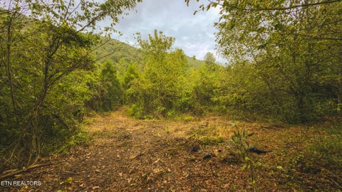 Tiny photo for 1432 Beech Creek Rd, Rogersville, TN 37857 (MLS # 1357388)