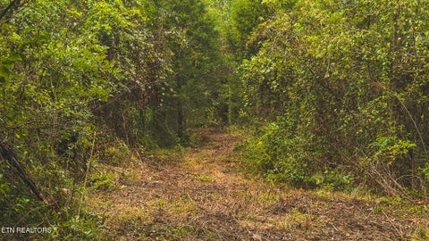 Tiny photo for 1432 Beech Creek Rd, Rogersville, TN 37857 (MLS # 1357388)