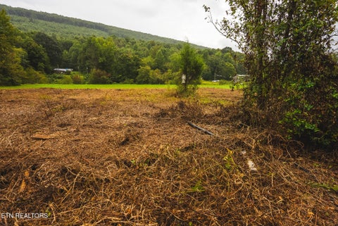 Tiny photo for 1432 Beech Creek Rd, Rogersville, TN 37857 (MLS # 1357388)
