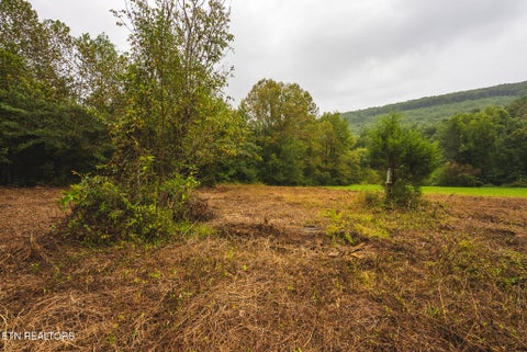 Photo of 1432 Beech Creek Rd, Rogersville, TN 37857 (MLS # 1357388)