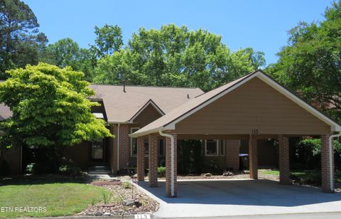 Photo of 113 Blue Ridge Court, Oak Ridge, TN 37830 (MLS # 1341219)