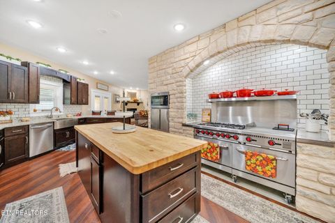 Tiny photo for 2160 Ranch Rd, Dandridge, TN 37725 (MLS # 1322664)