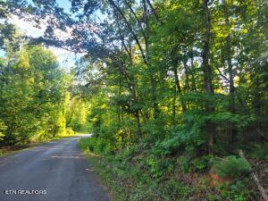 Photo of 000 Ewing Rd, Spring City, TN 37381 (MLS # 1269772)