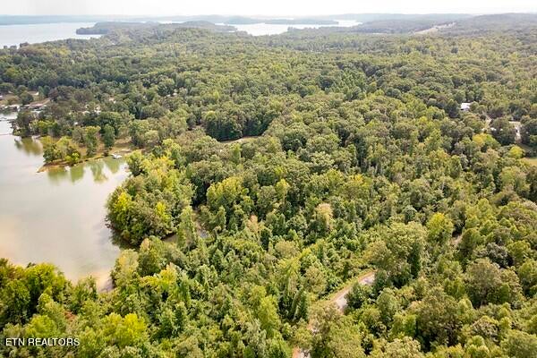 Photo of 000 Ewing Rd, Spring City, TN 37381 (MLS # 1269772)