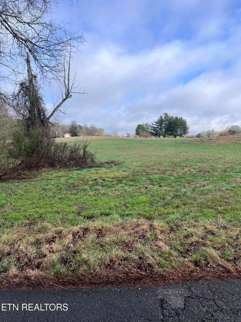 Tiny photo for Mountain View Lane, Baneberry, TN 37890 (MLS # 1331950)