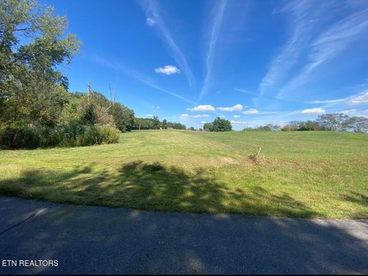 MOUNTAIN VIEW LN, WHITE PINE, TN 37890 - Image 9be57daf6ee26bb8abce89ecaabab95c/1743661083