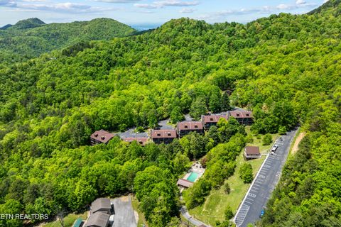 Tiny photo for 1081 Cove Rd #APT 1024, Sevierville, TN 37876 (MLS # 1328688)