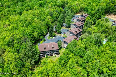 Tiny photo for 1081 Cove Rd #APT 1024, Sevierville, TN 37876 (MLS # 1328688)