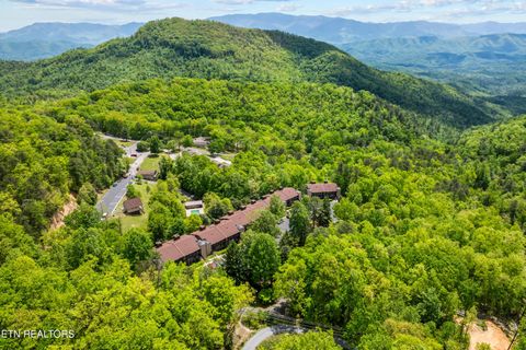 Tiny photo for 1081 Cove Rd #APT 1024, Sevierville, TN 37876 (MLS # 1328688)