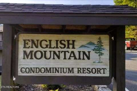 Tiny photo for 1081 Cove Rd #APT 1024, Sevierville, TN 37876 (MLS # 1328688)