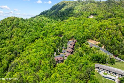 Tiny photo for 1081 Cove Rd #APT 1024, Sevierville, TN 37876 (MLS # 1328688)