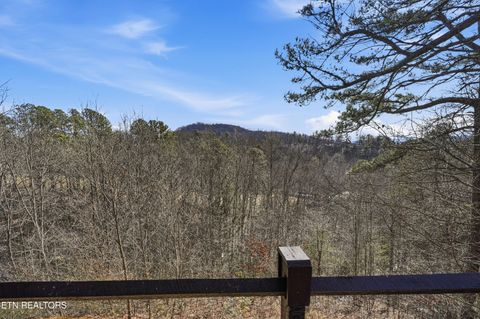 Tiny photo for 1081 Cove Rd #APT 1024, Sevierville, TN 37876 (MLS # 1328688)